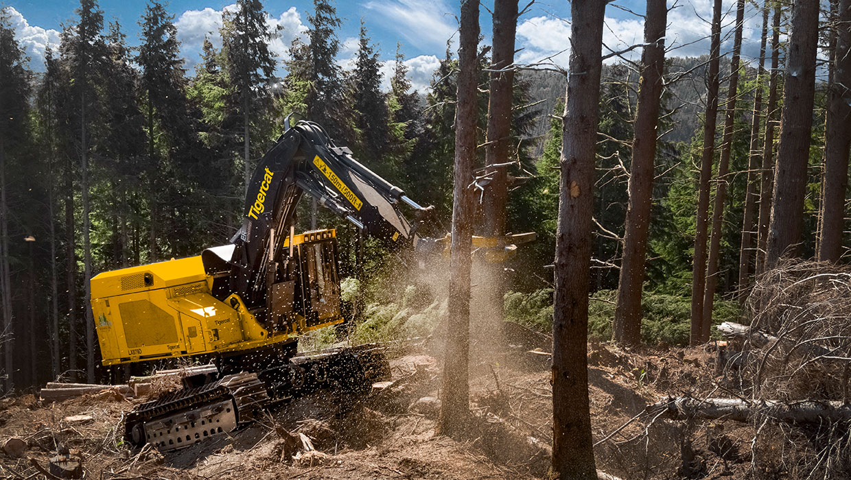 Image of a Tigercat LX870D feller buncher working in the field