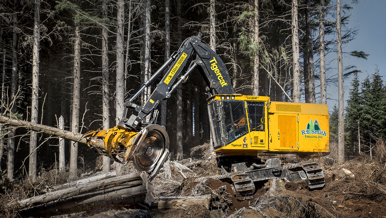 Image of a Tigercat LX870D feller buncher working in the field