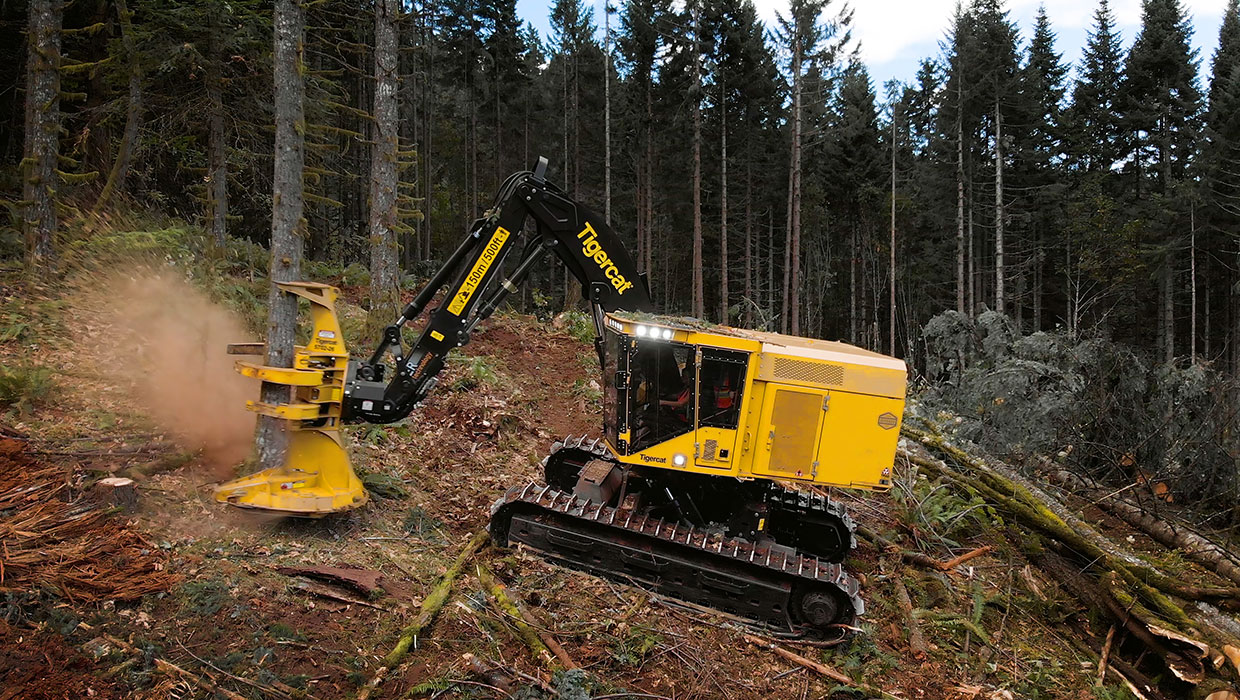 Image of a Tigercat LX870D feller buncher working in the field