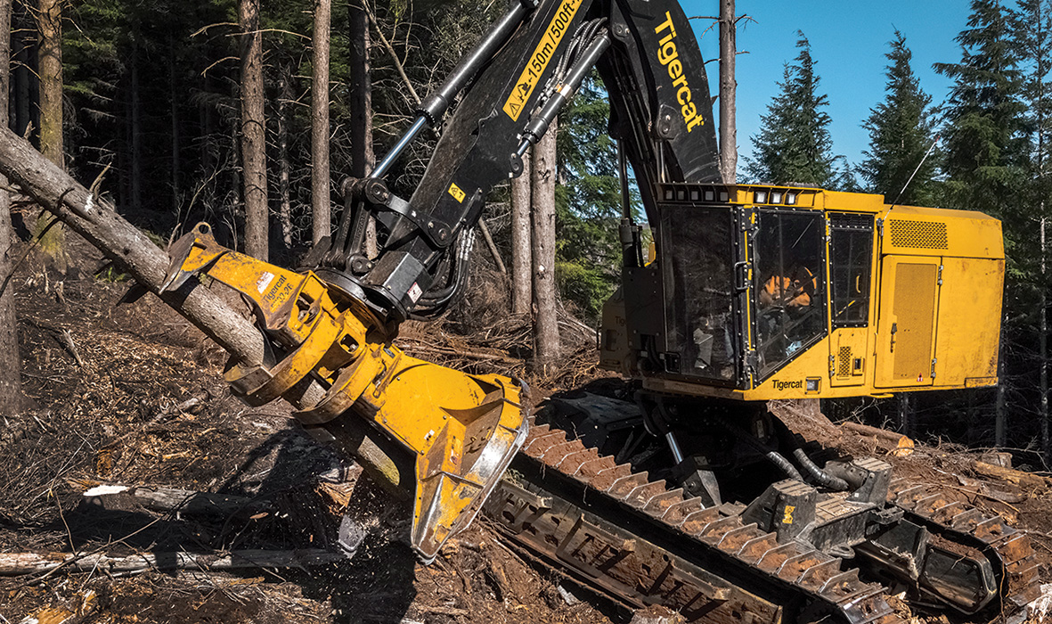 Image of a Tigercat LX870D feller buncher working in the field