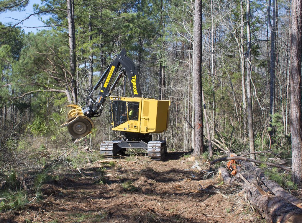 The Tigercat LX830D felling three feet away from the bank of an existing railway track. They are clearing the trees prior to grading for a second railway track along side it.