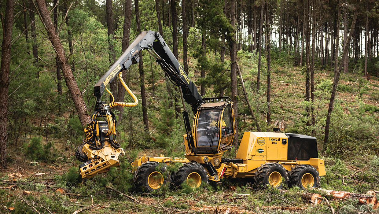 Image of a Tigercat 1185 harvester working in the field