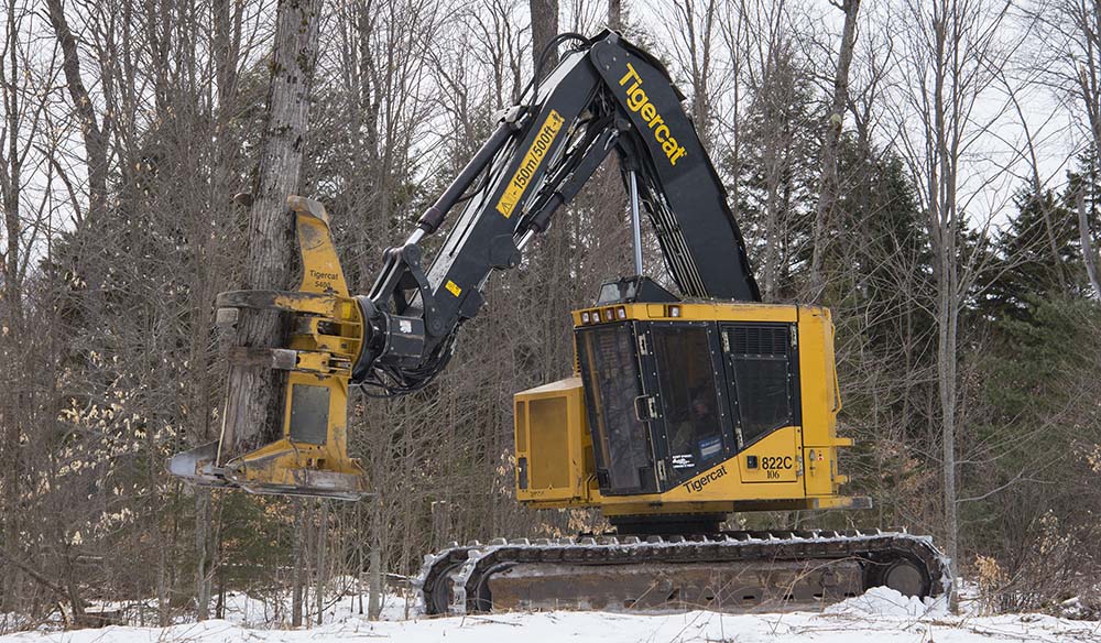 A Tigercat 822C feller buncher felling a tree.