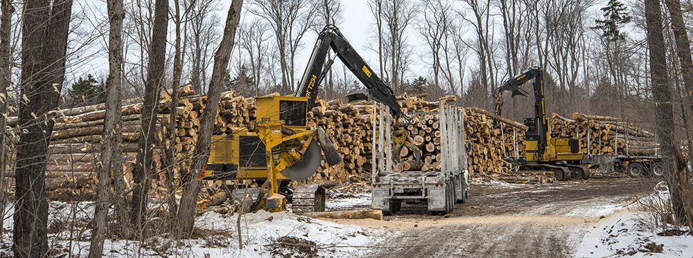 On the hardwood job, T234B loaders equipped with circle saws cut to length and load.