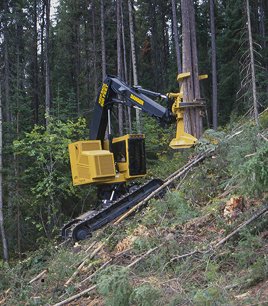 El prototipo del feller buncher L830 Tigercat con un grupo de árboles en su cabezal de tala.