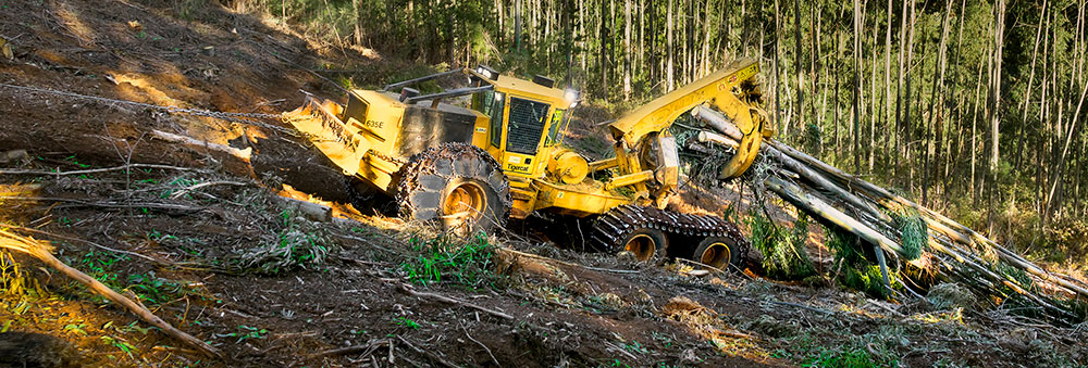 Tethered Logging: 635E skidder with cable assist dragging a load up a slope.