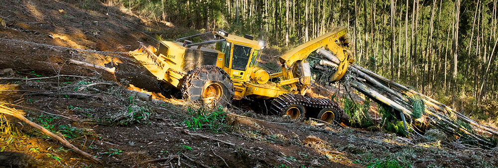 Cosecha con cable: El skidder 635E con asistencia por cable arrastra una carga colina arriba.