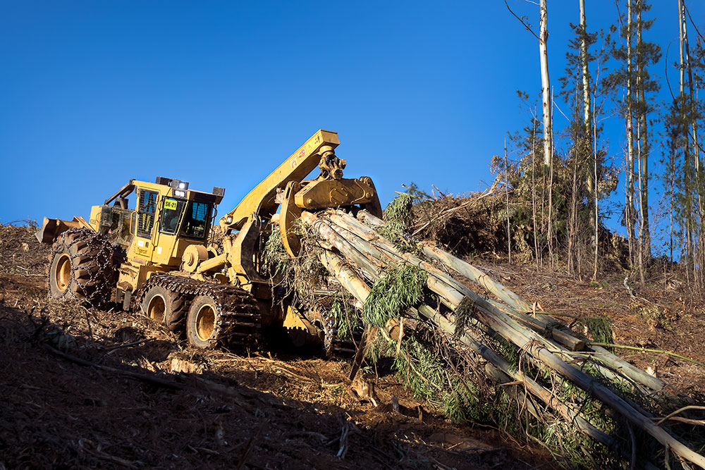 Tethered Logging: A Tigercat 635E skidder pulls an approximately 8 tonne load of eucalyptus up a slope. 