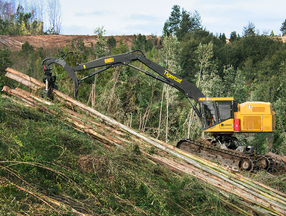 KBM usa un shovel logger LS855D para obtener madera de las secciones pronunciadas en donde los skidders pueden llevar a cabo más fácilmente tareas secundarias de extracción hacia el costado del camino. 