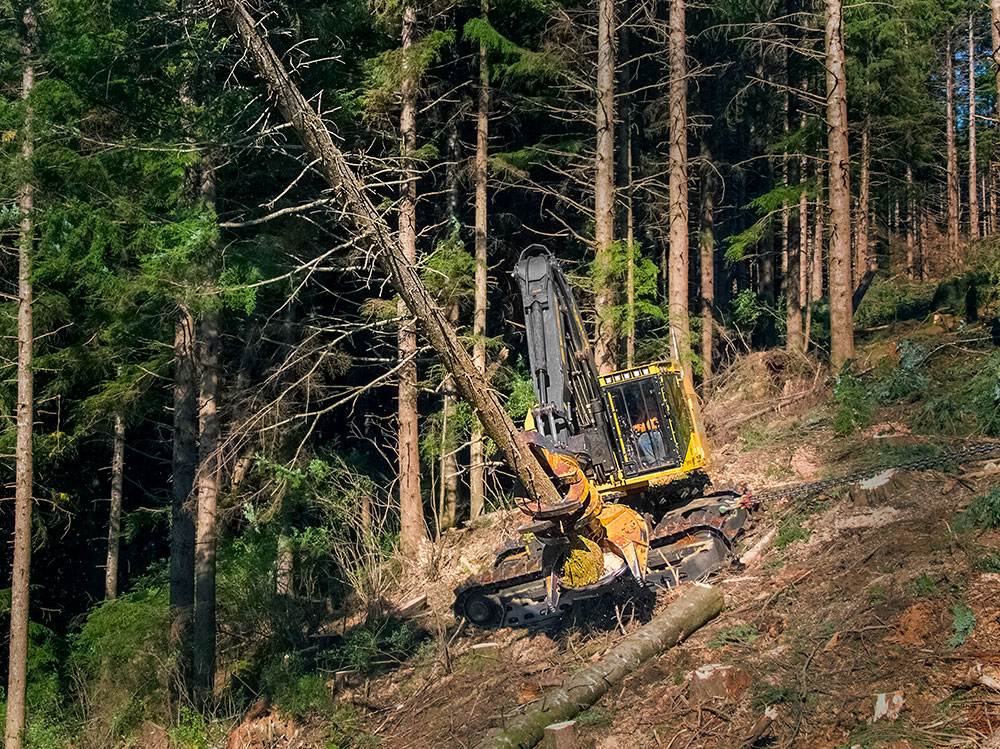 The LX870D tethered on steep terrain near Olympia in Washington state felling a tree. 