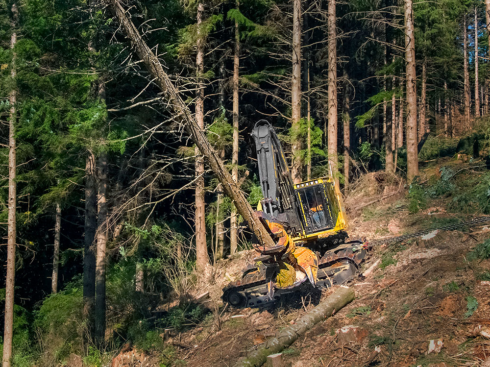 Le modèle LX870D attaché sur un terrain escarpé près d'Olympia dans l'état de Washington et abattant un arbre. 