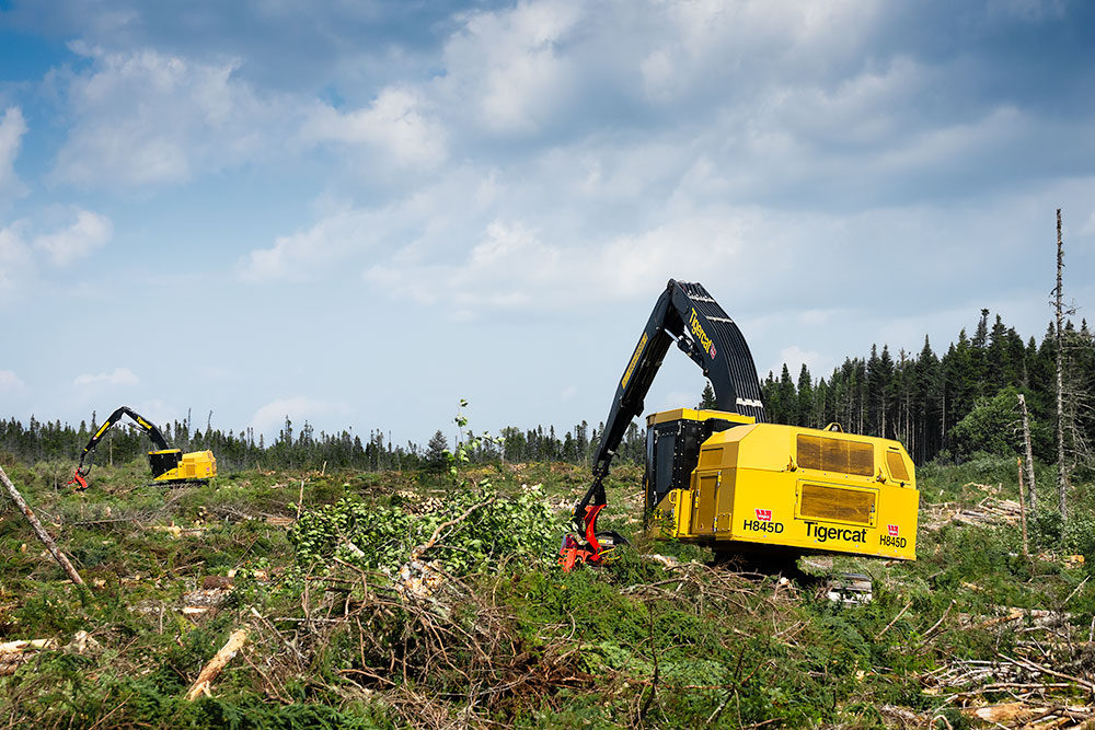 Two of Sexton's three H845D harvesters on a jobsite.