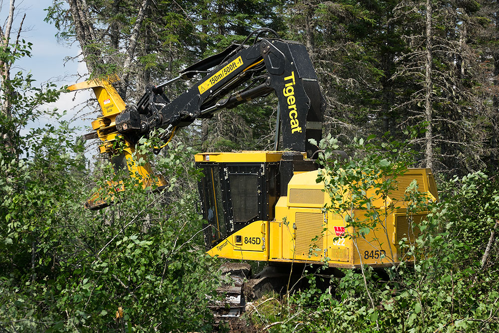 Kevin and Susan's latest buncher, an 845D bunches trees in thick brush. 