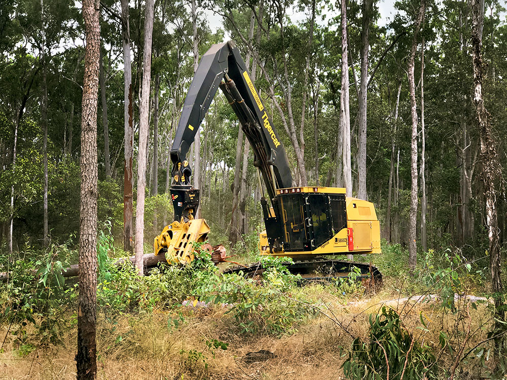 An H855D processing a log. 