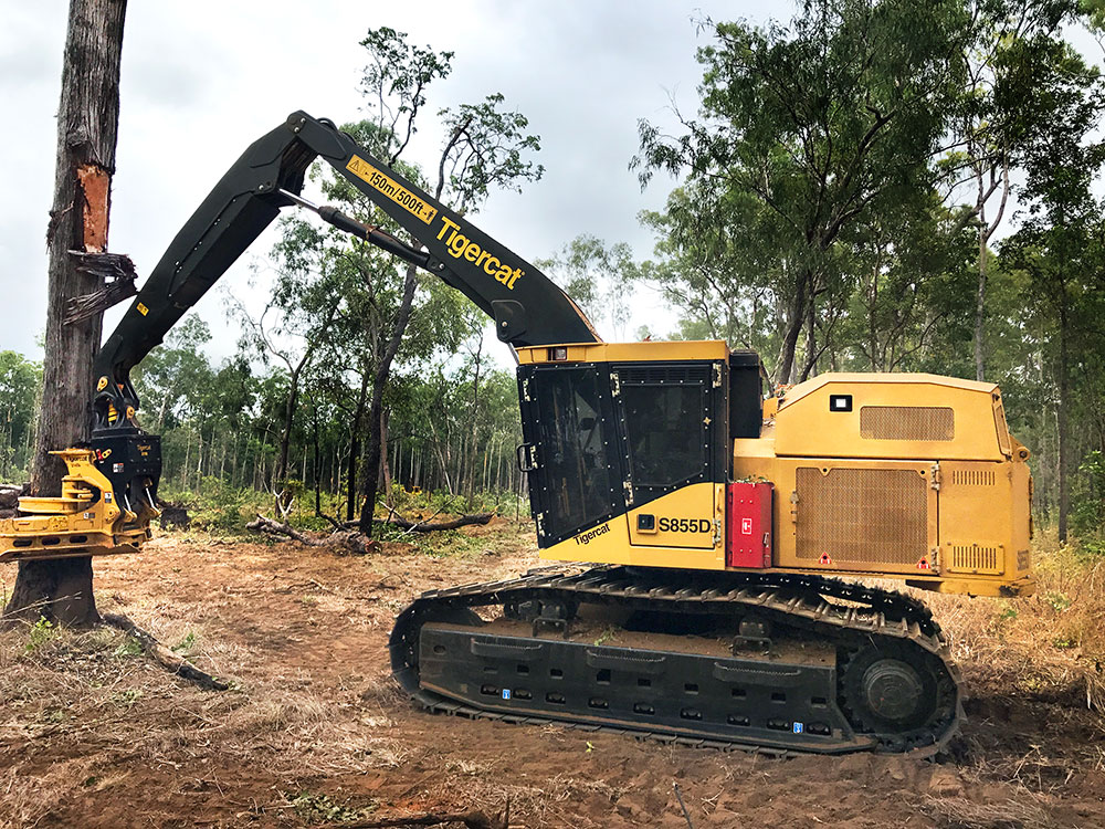 Wik Timber S855D Shovel Logger clamped onto the stump of a tree.