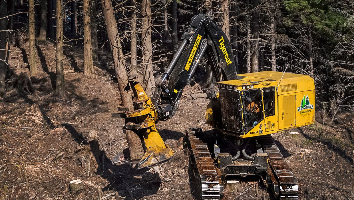 Image of a Tigercat 5702 felling saw working in the field