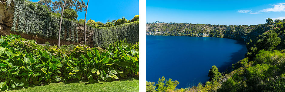 Australian landscapes. Image on the left fills the frame with tropical plants. Image on the right overlooks a large blue lagoon.