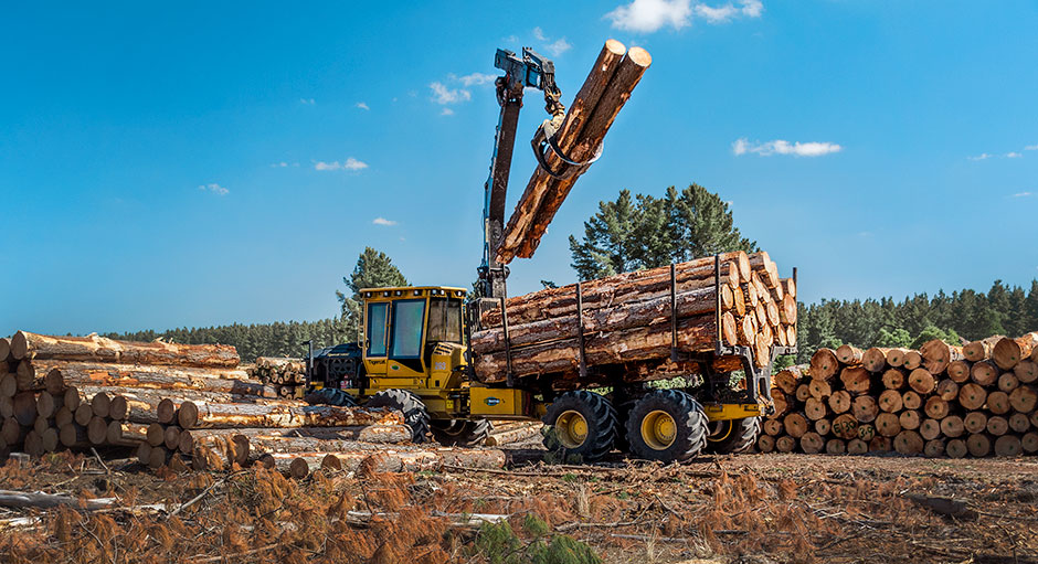 Le transporteur 1085C de Tigercat avec un chargement complet de billes