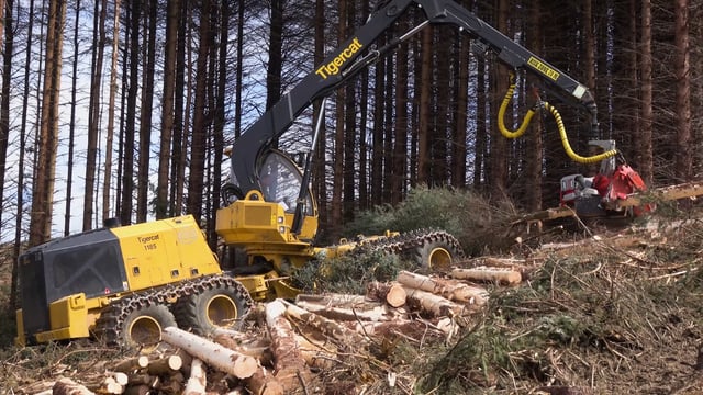 Tigercat 1185 Video Logging Machines In Action Tigercat Tv Tigercat 1185 Video Logging Machines In Action Tigercat Tv