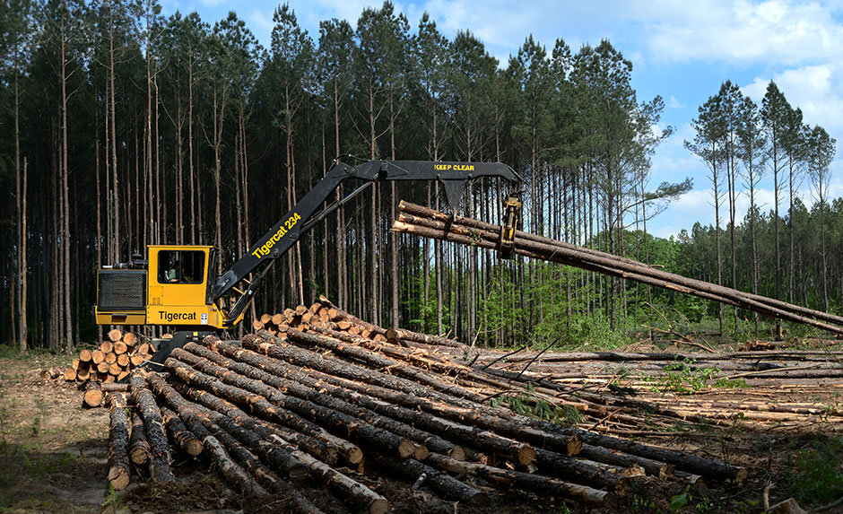 A large pile of logs in the foreground leads your eyes toward a Tigercat 234 Loader.