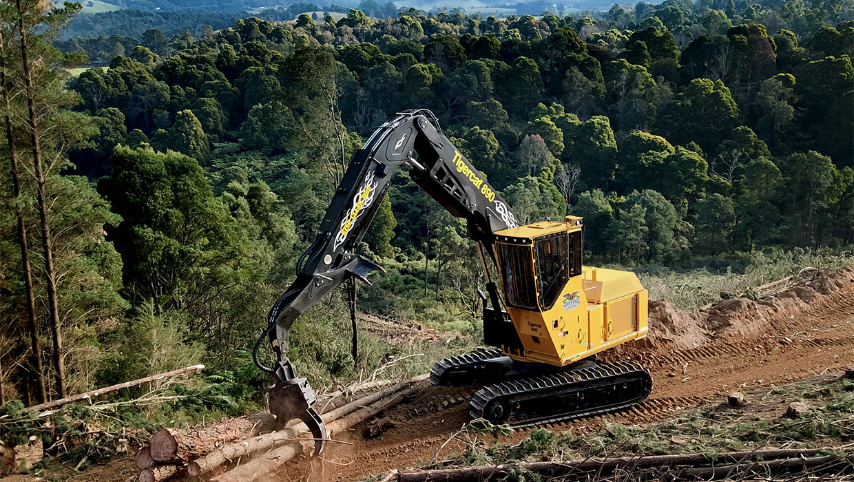 Image of a Tigercat 890 logger working in the field