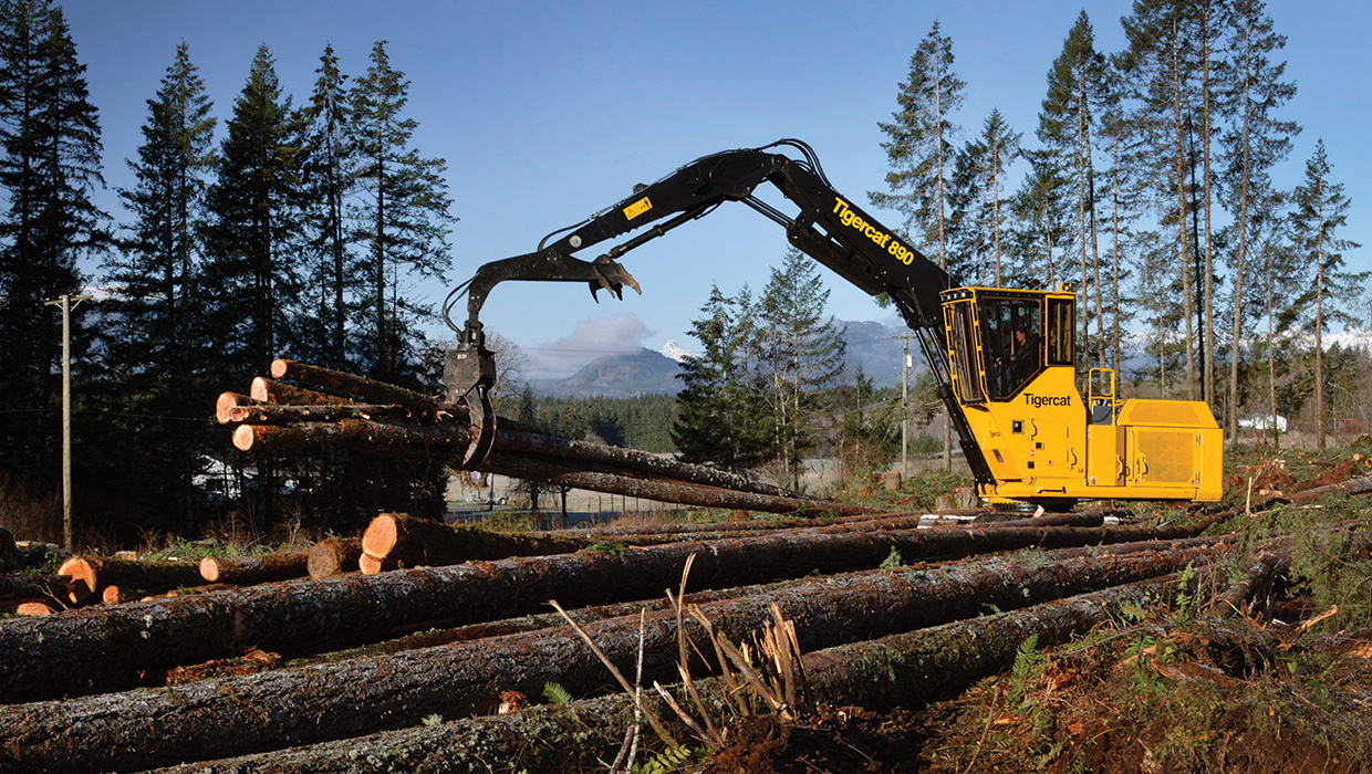 Image of a Tigercat 890 logger working in the field