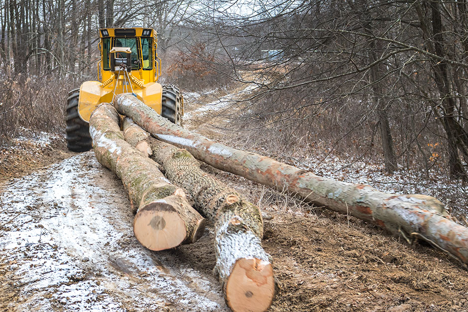 Un débardeur Tigercat 602 à treuil tirant du gros bois feuillu à travers un chemin forestier.