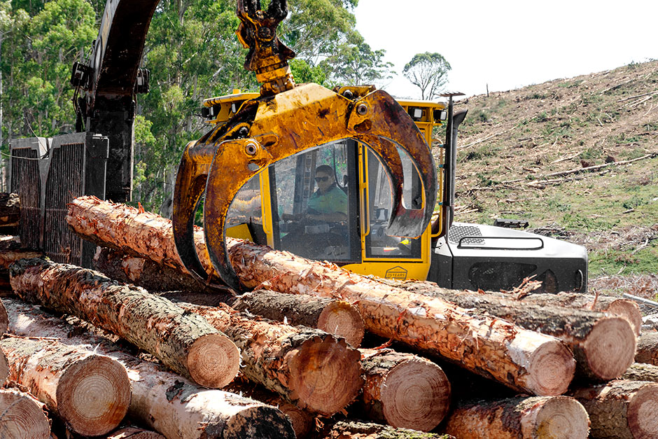 Theresa Lonergan trabalhando no forwarder 1075C.