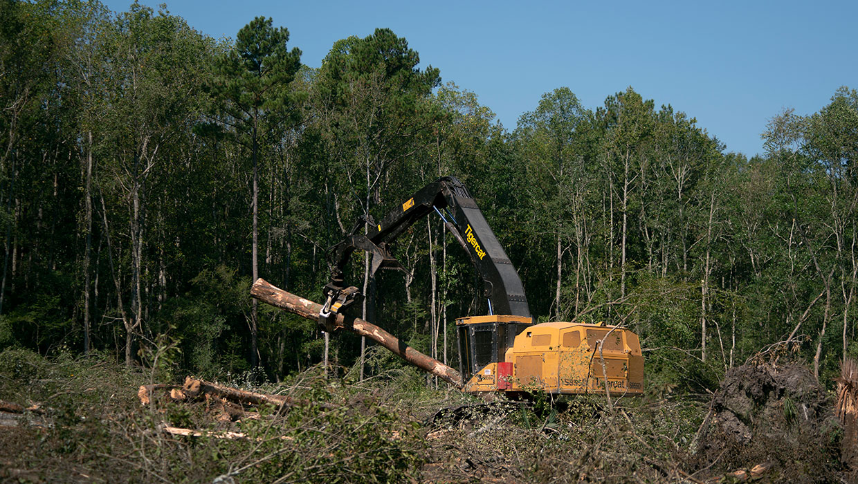 Image of a Tigercat S855E shovel logger working in the field