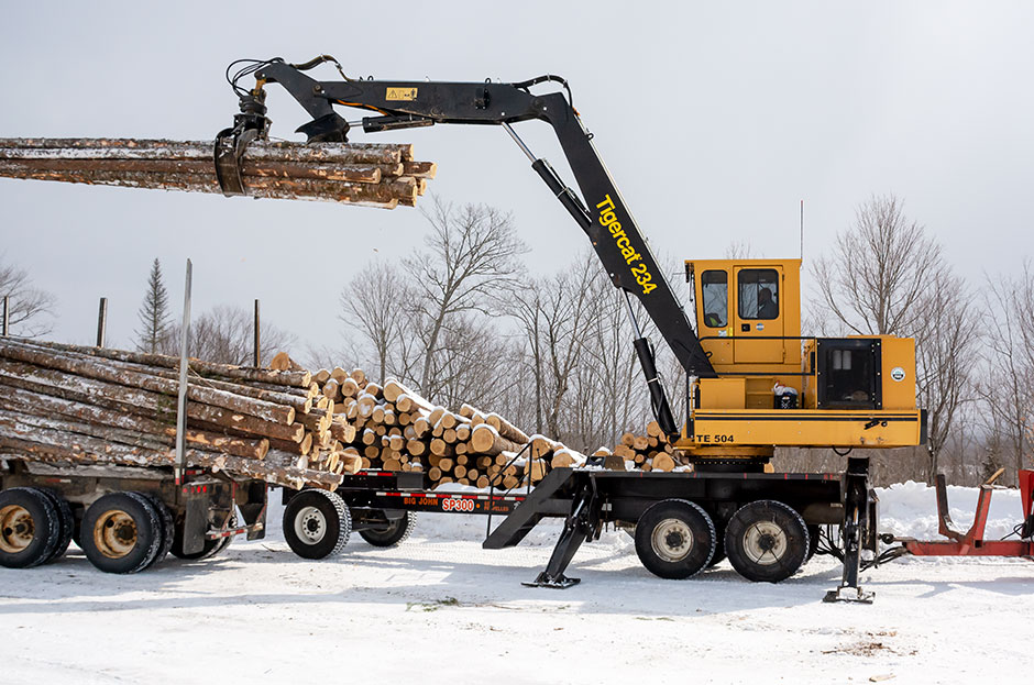 Une chargeuse forestière 234B Tigercat tirant une charge de bois.