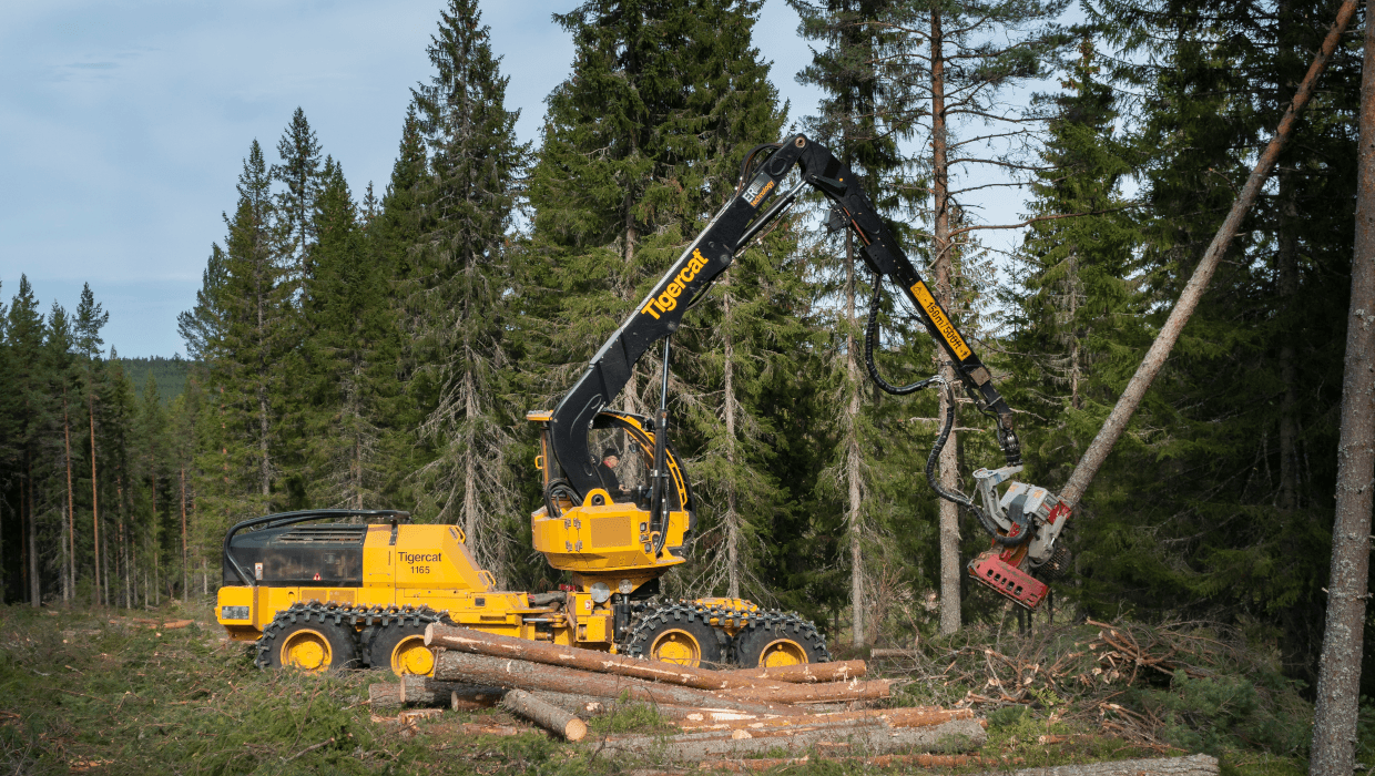 Image of a Tigercat 1165 harvester working in the field