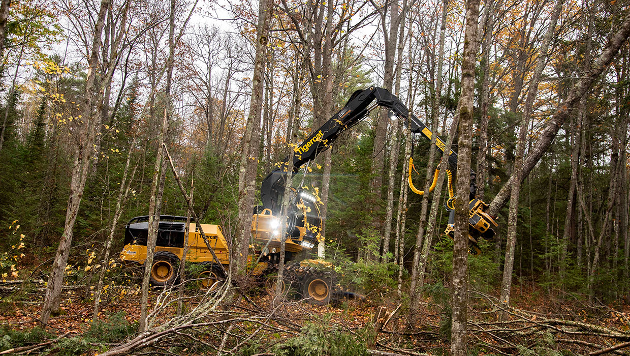 Image of a Tigercat 1165 harvester working in the field