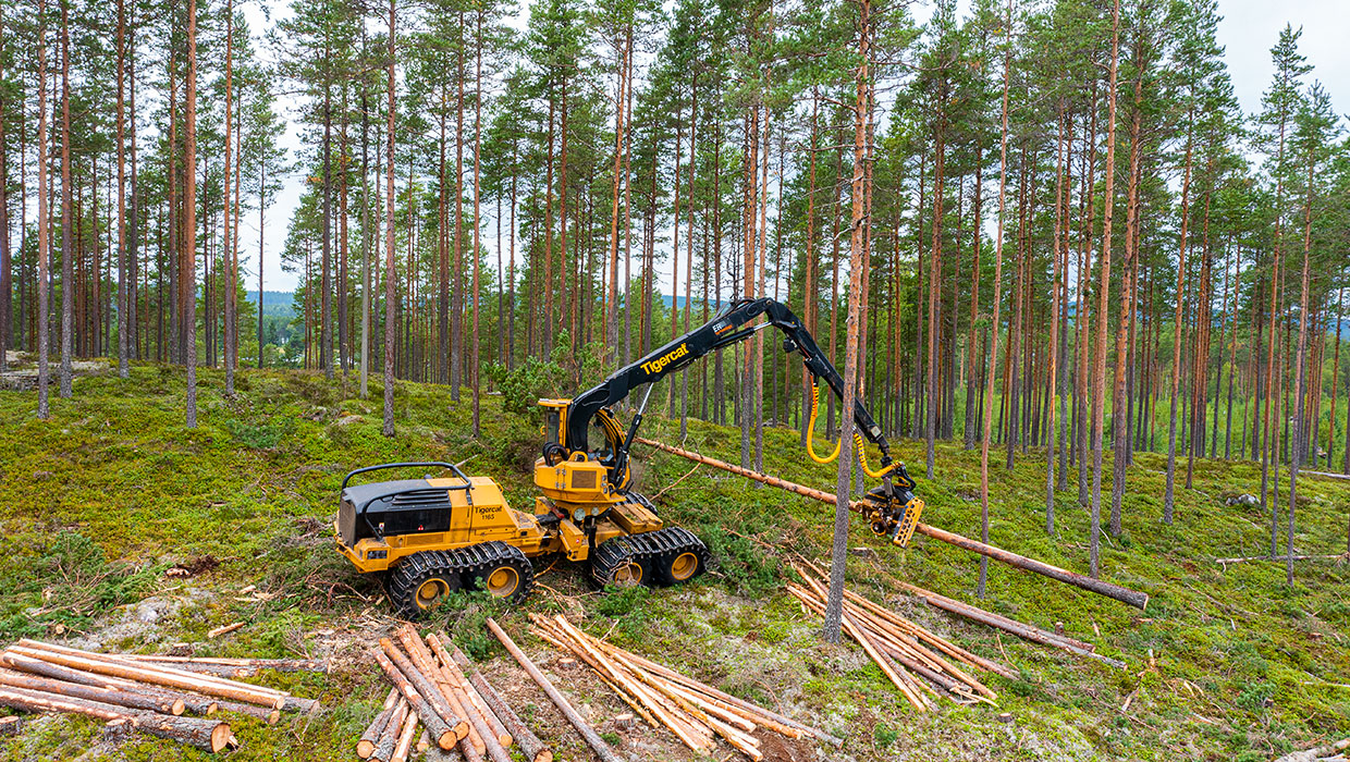 Image of a Tigercat 1165 harvester working in the field