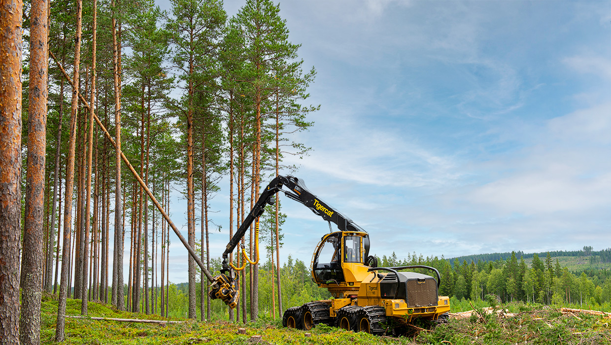 Image of a Tigercat 1165 harvester working in the field