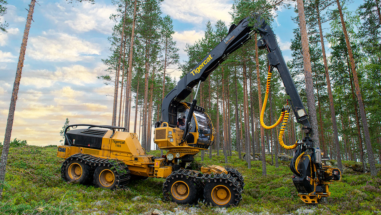 Image of a Tigercat 1165 harvester working in the field