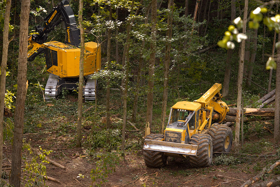 Tigercat LX830D and 620E skidder working in tandem.