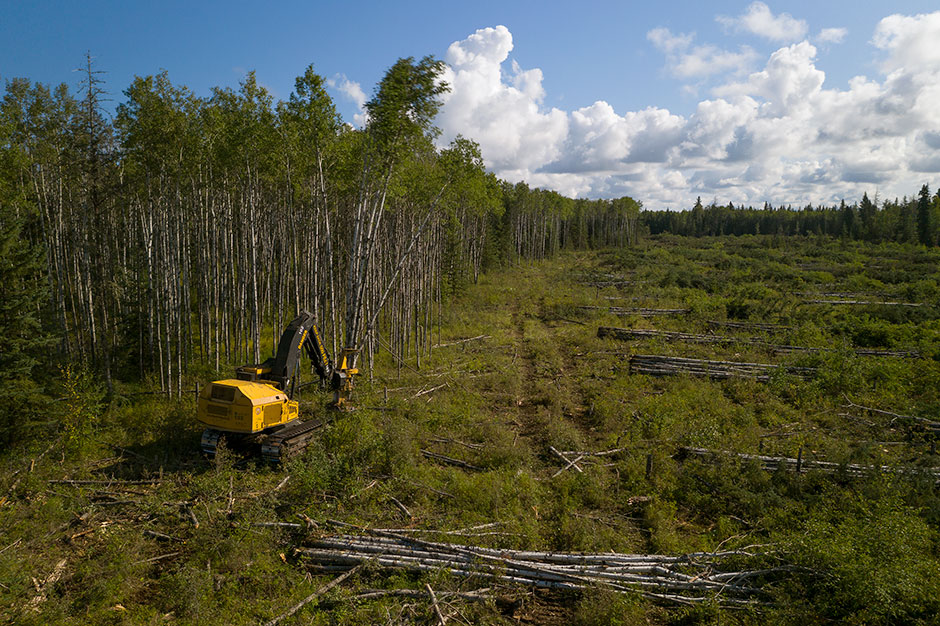 Vue aérienne de l'abatteuse-empileuse Tigercat en Alberta