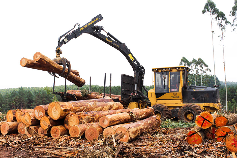 Tigercat 1075C forwarder; Tigercat in Uruguay