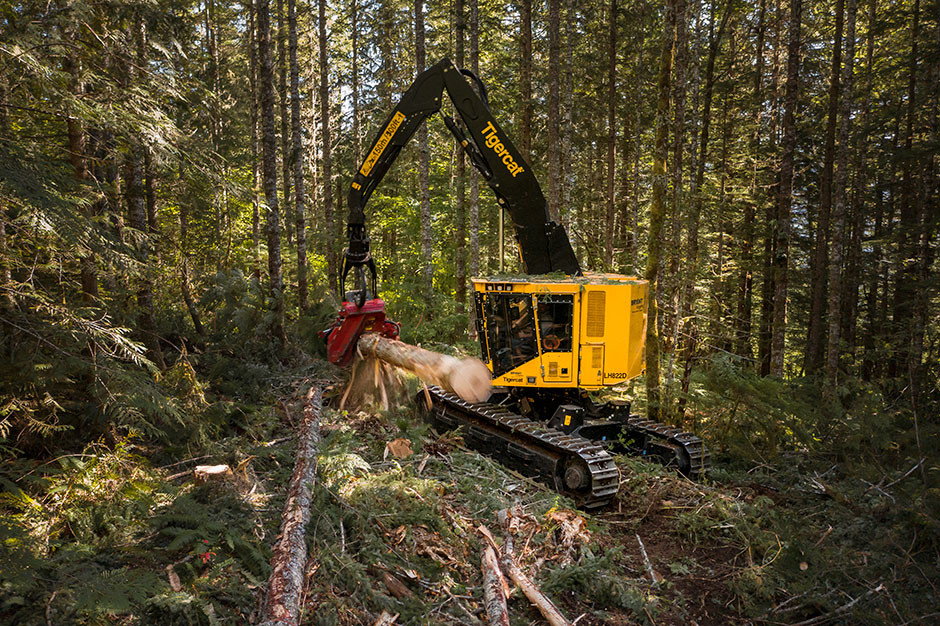 LH822D de Tigercat, propiedad de Bryant Logging.