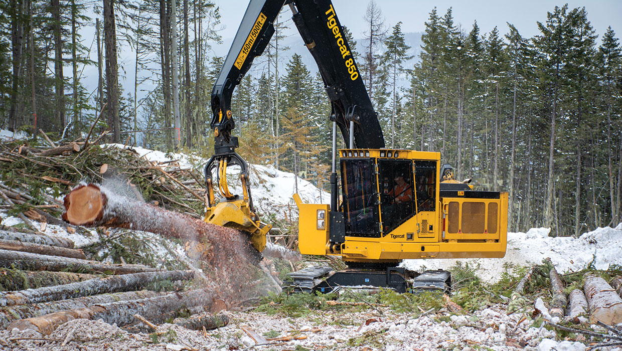 Image of a Tigercat 850 processor working in the field