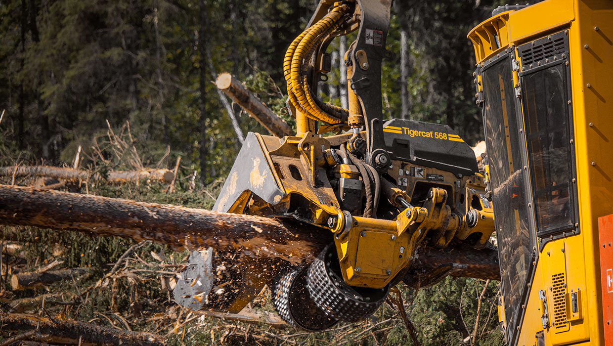 Image of a Tigercat 568 harvesting head working in the field