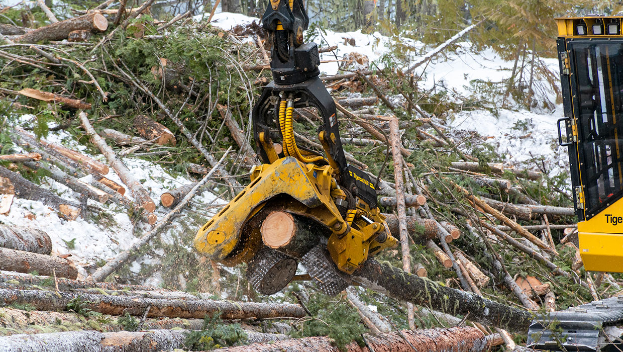 Image of a Tigercat 568 processing head working in the field