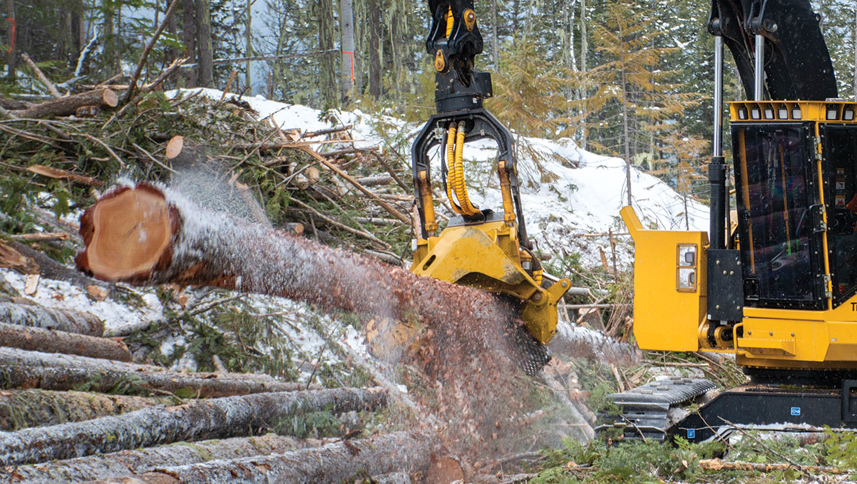 Image of a Tigercat 568 harvesting head working in the field