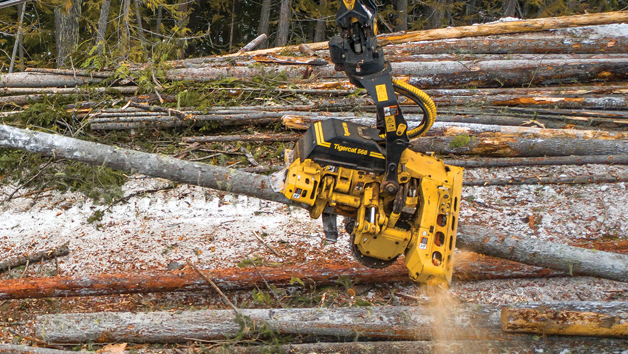 Image of a Tigercat 568 harvesting head working in the field