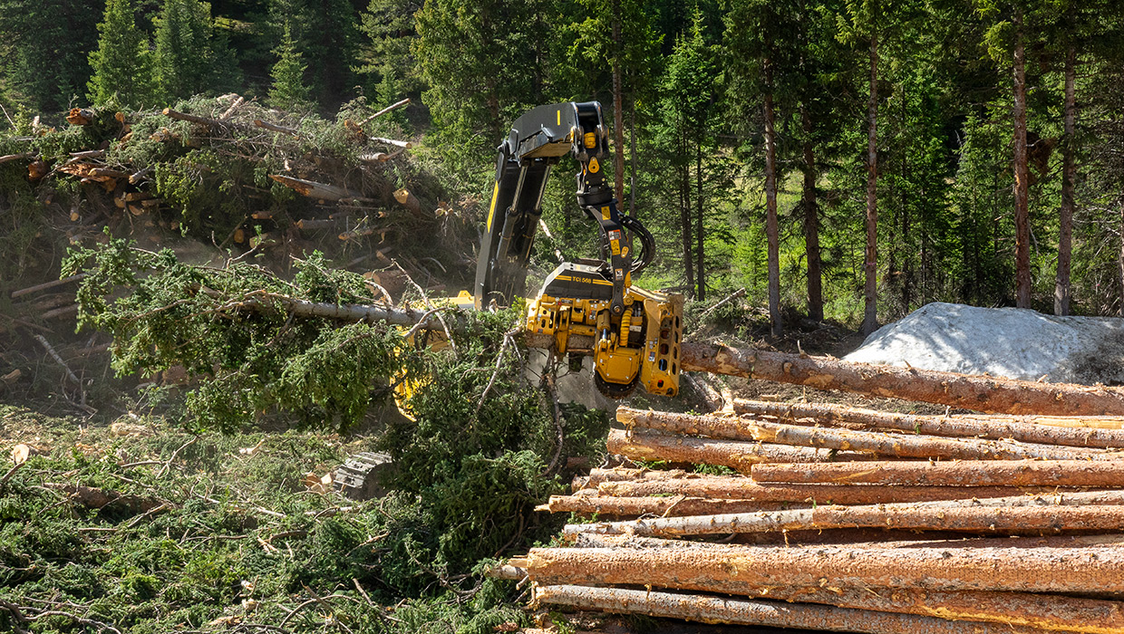 Image of a TCi 568 harvesting head processing timber