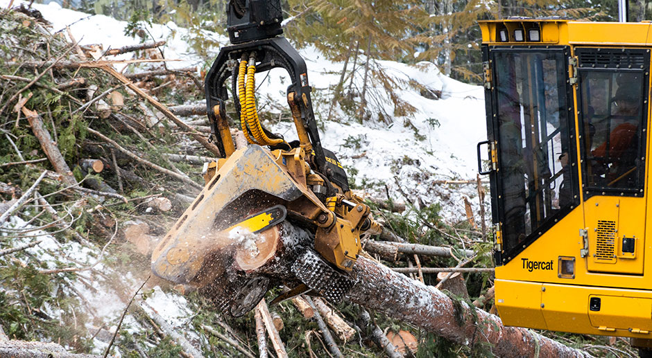 568 harvesting head