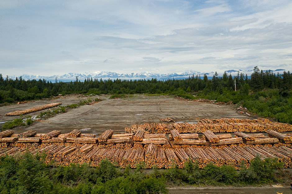An aerial view of the Yak Timber sort yard.