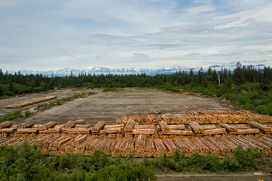 Vue aérienne de la terre exploitée par Yak Timber.