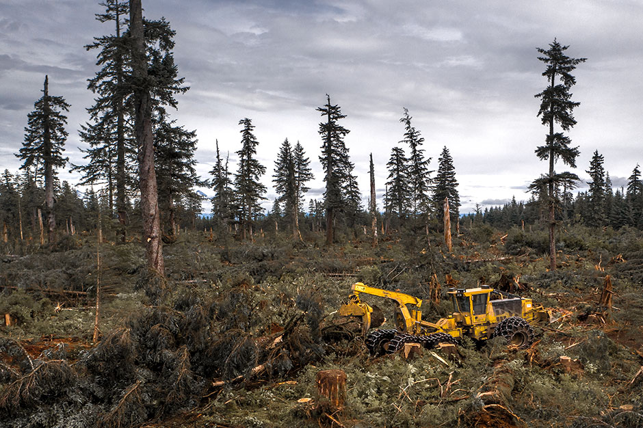 Débardeur Tigercat 635G intervenant dans une forêt en Alaska.