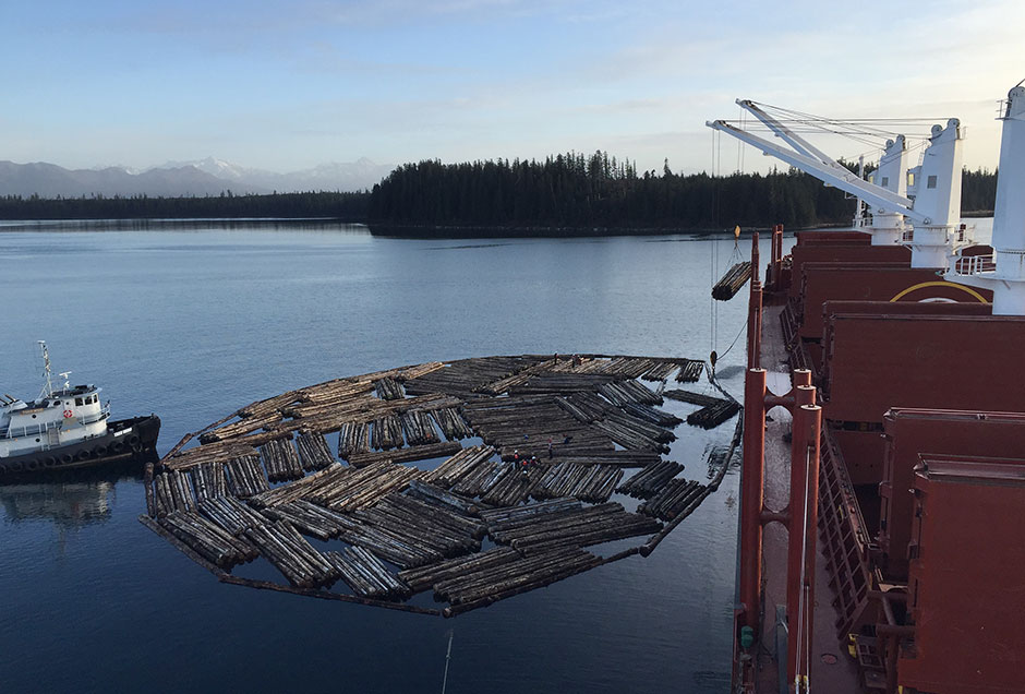 Chargement de grumes sur la barge à Broken Oar Cove.